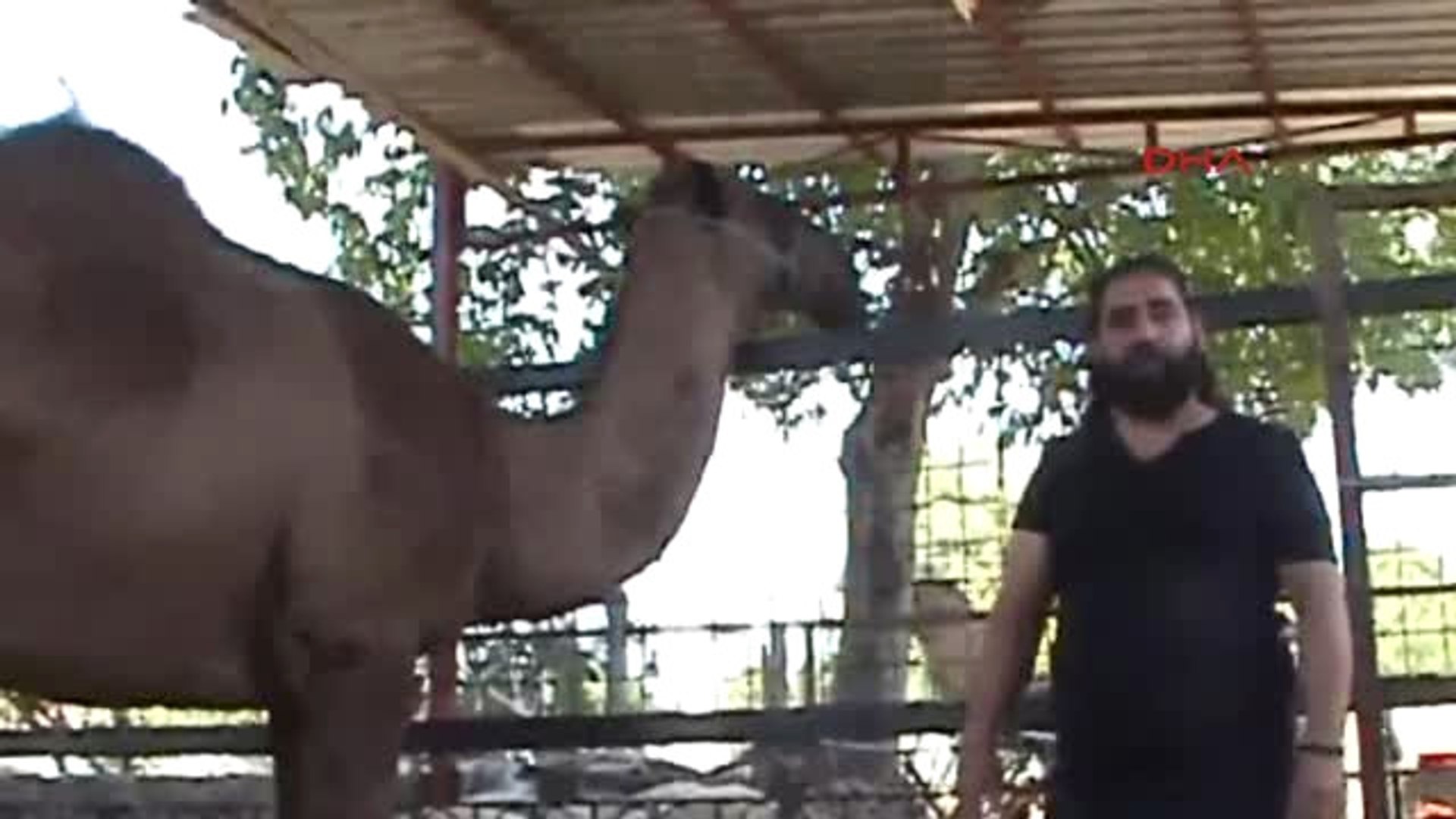 2014 altın fiyatları