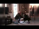 Soldier Reunited With His Dog