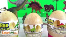 Learn Dinosaurs - Whats in the Box: Dinosaurs & Flying Reptiles - Kids Educational Toys