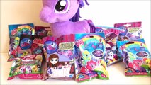 My Little Pony Blind Bags Littlest Pet Shop Princess Twilight Sparkle Rainbow Dash Toys Un
