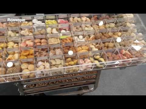 Pet na Pan #InterZoo - Alimentação natural, brinquedos, saúde e muitas novidades da feira alemã