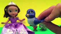 Y pájaro azul Conejito trébol primero primera desaparecido en combate princesa Sofía el con disney robin elija