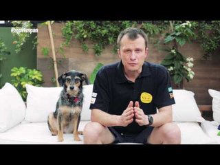 Pet na Pan #20 - cinco dicas para ajudar cães briguentos