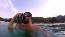 Une pieuvre s’accroche au masque d’un plongeur et est bien décidée à ne pas lacher