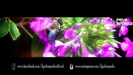 Armaan Malik Mashup DJ Prks SparkZ