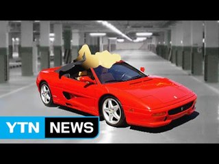 '페라리' 지붕에서 잠든 만취남, 1억 3천만 원 날릴 뻔 / YTN