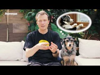 Pet Na Pan #31 - Cinco cuidados com filhotes dentro de casa