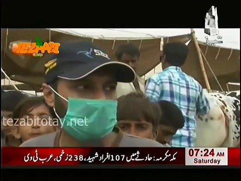 Eid Al Adha Maweshi Mandi Punjabi Totay Funny Tezabi Totay