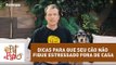 Pet Na Pan #33 - Três dicas para que seu cão não fique estressado fora de casa