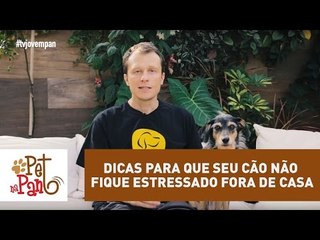 Pet Na Pan #33 - Três dicas para que seu cão não fique estressado fora de casa