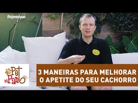 Pet na Pan #35 - 3 maneiras para melhorar o apetite do seu cachorro