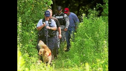 Breaking: 2 Satanic Pedophile Rings Busted - Whistleblower Found Dead