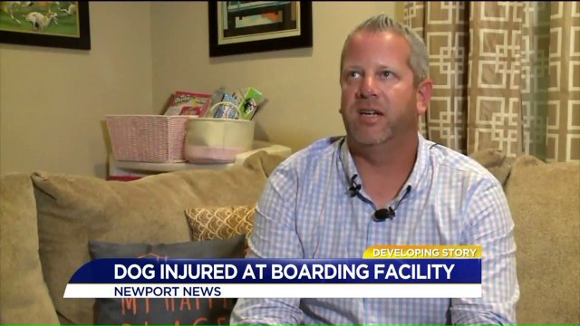 Dog Severely Injured After Stay at Virginia Boarding Kennel