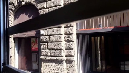 Ambulanza Croce Verde  in sirena di Milano By Vizzo