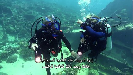 المحيطات ح5 المحيط الهندي