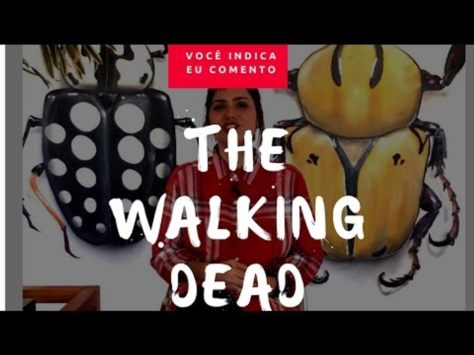 VOCÊ INDICA, EU COMENTO: The Walking Dead