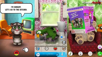 TALKING GINGER 2 vs TALKING PIERRE THE PARROT vs TALKING BEN Game for Kids (Gameplay, Walk