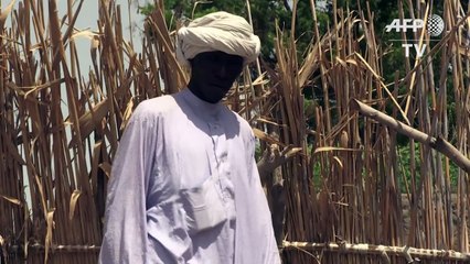 Life returns to Lake Chad despite Boko Haram threat