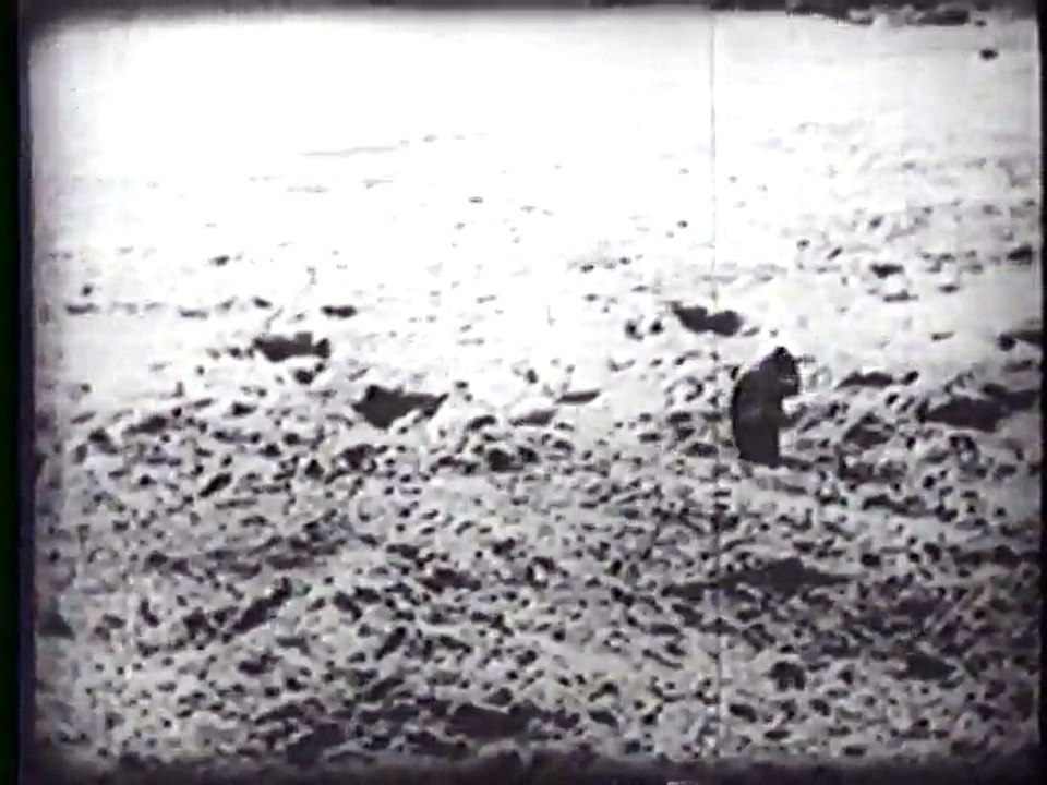Coney Island (1917)
