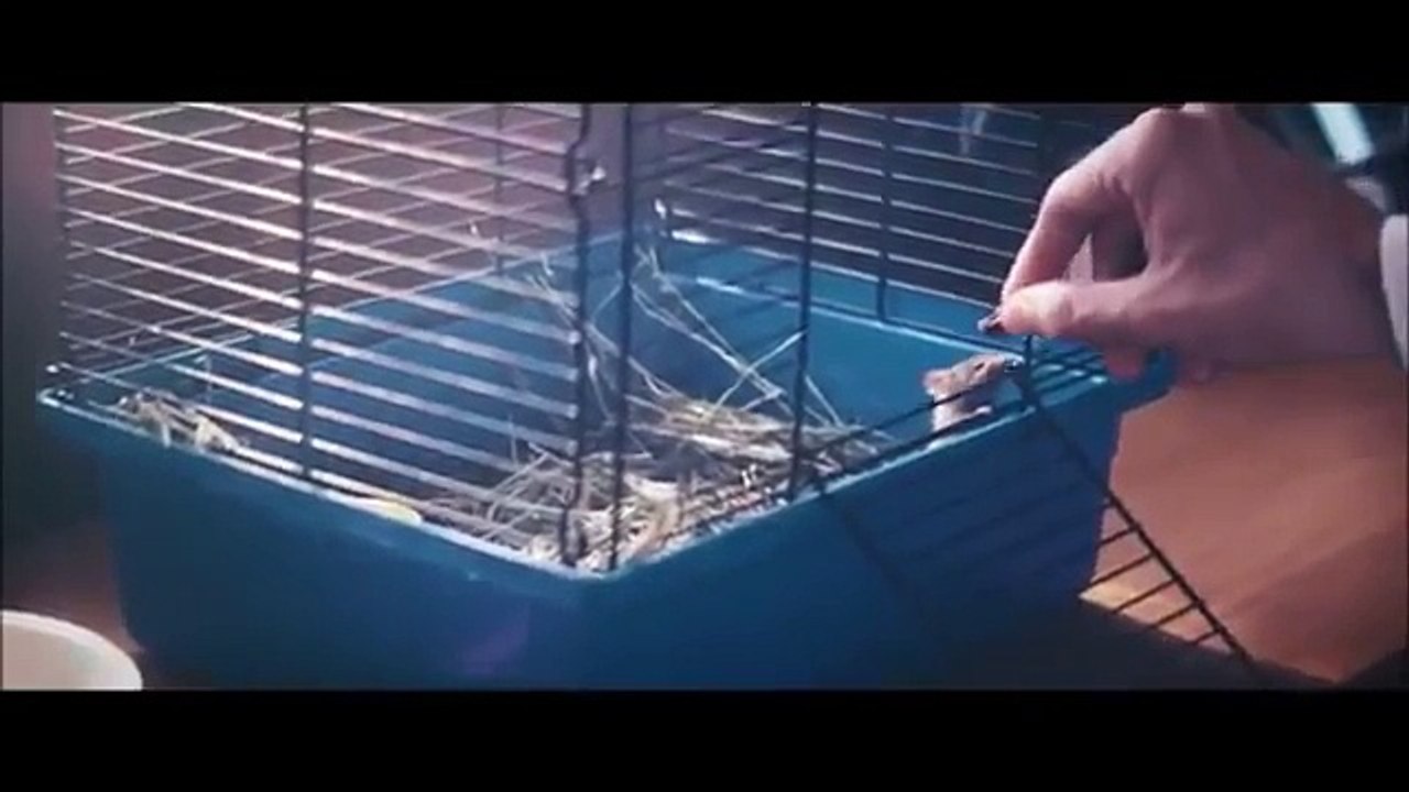 Marshmello I Alone_clip4