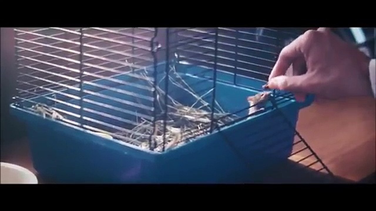 Marshmello I Alone_clip13