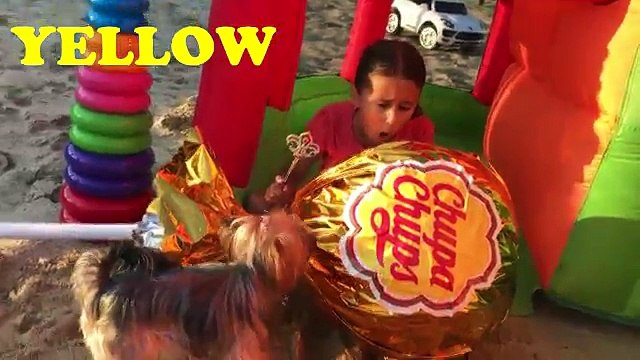 Bad Kid Baby Crying Candy Giant Chupa Chups Learn Colors Johny Johny Yes Papa Nursery Rhymes Songs