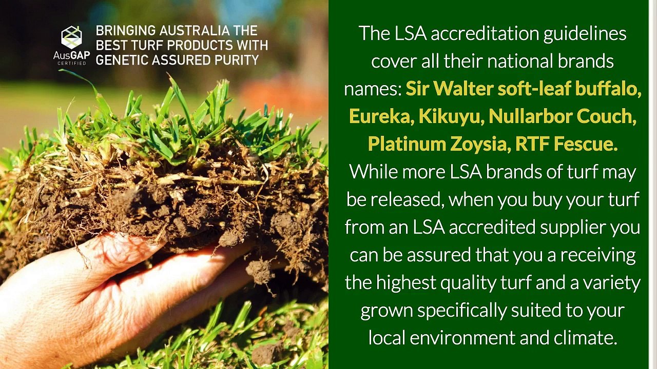 Lawn Solutions Australia and AusGAP