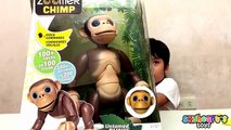 Voiture chimpanzé Oeuf géant honnête ouverture puissance examen jouet jouets Nous roues Zoomer |
