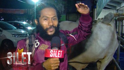 Cupink Topan Berburu Sapi untuk Kurban - Silet 29 Agustus 2017