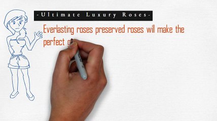 Information Video About Ultimate Luxury Roses