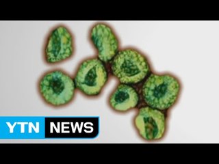 사람에게 옮은 동물 바이러스…메르스의 생존 전략 / YTN