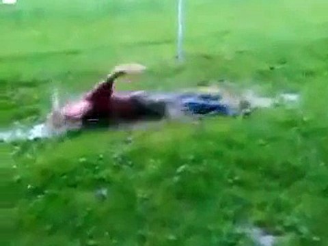 Çimenlere balıklama atlayan sazanlar