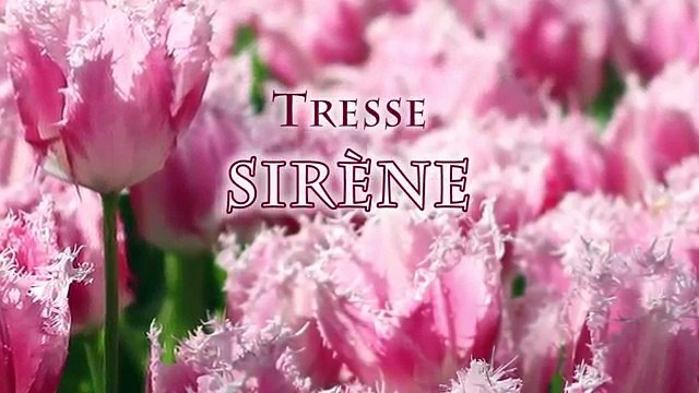 Каскад сюр Ле наливать нам Ле Это длинный Ми л