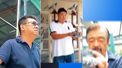 Alagang Magaling S7 EP11 - FACE THE FANCIER - Victoria Diwa