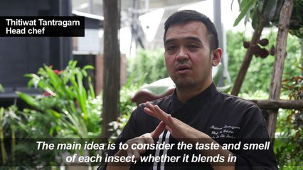 Gourmet grub: Thai fine-diners explore insect cuisine