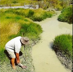 Il nourrit un crocodile géant