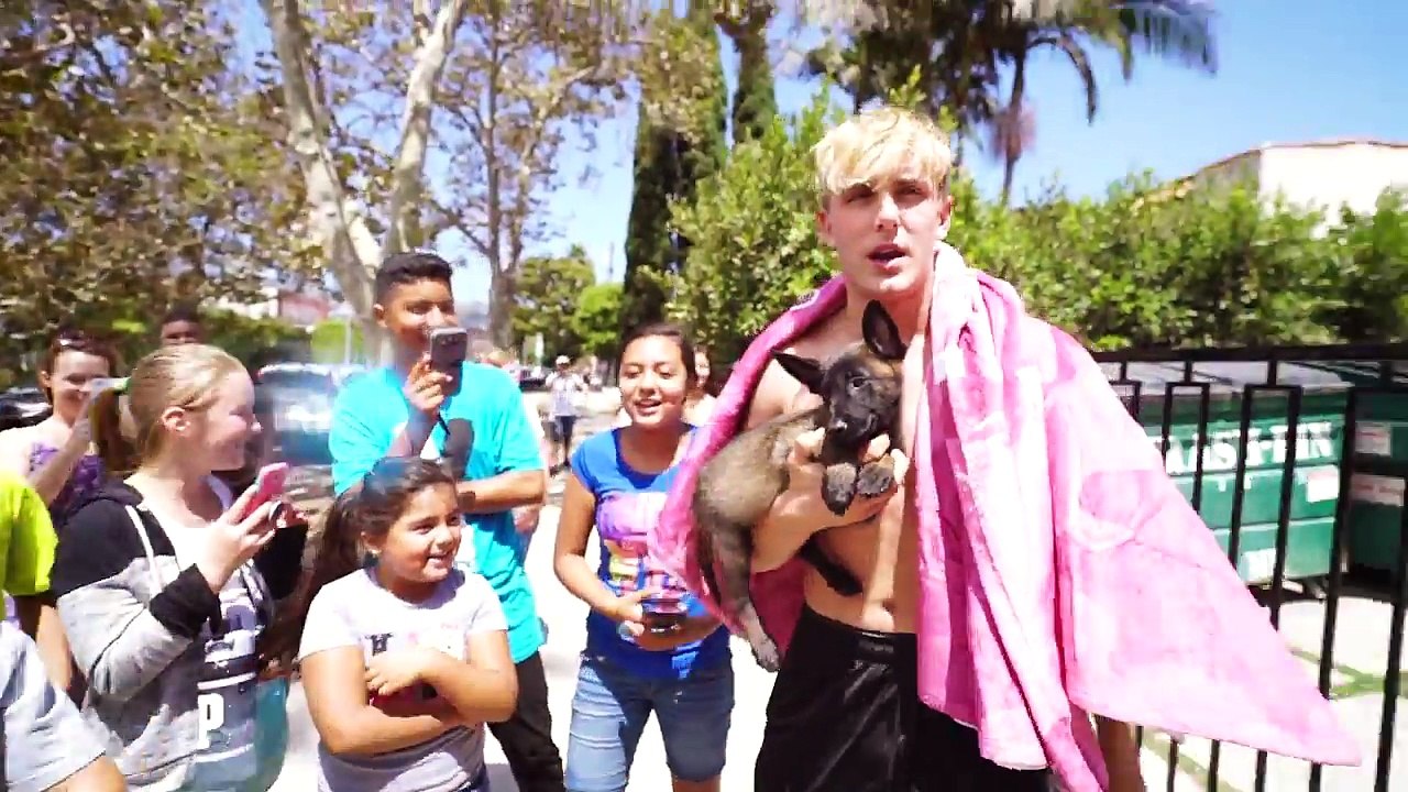 HOW TO GET 10,000,000 SUBSCRIBERS IN 317 DAYS