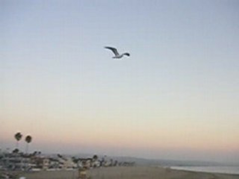 Sunset on Newport Beach Pier