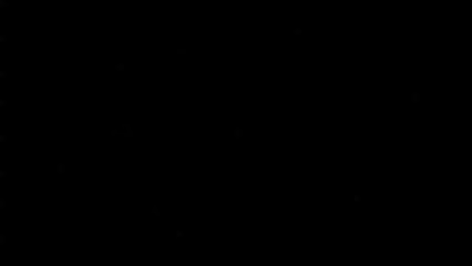 El Sultán se dejará domar por un nuevo amor  nuevo video nuevo  el sultan