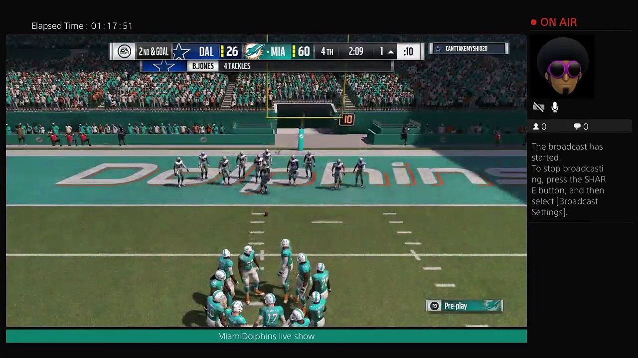 MiamiDolphins live show (12)