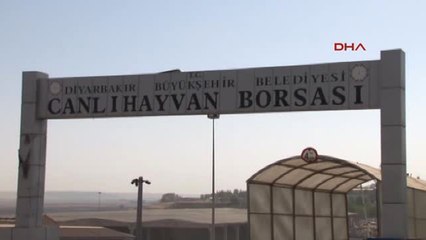 Diyarbakır Polisi 3 Dilde Vatandaşı Dolandırıcılara Karşı Uyardı