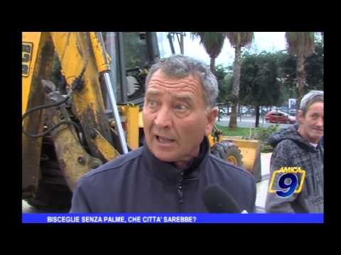 Bisceglie senza palme, che città sarebbe ?