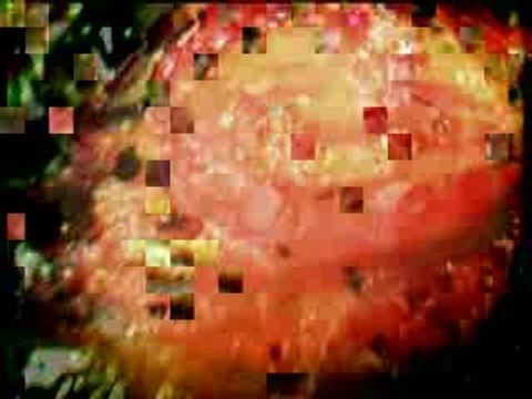 The Hellacopters - I'm In The Band