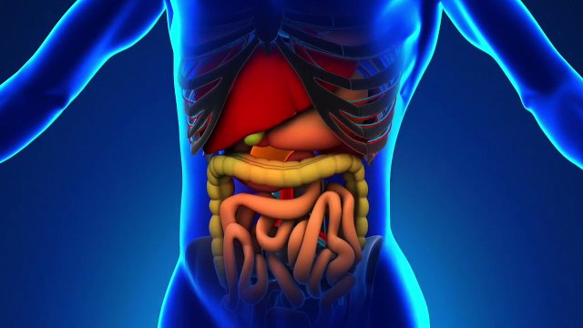 BiliScreen, la aplicación que detecta el cáncer de páncreas a través de tus ojos.