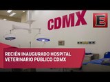 Servicios gratuitos en Hospital Veterinario Público de la CDMX