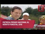 EPN entrega Premio Nacional al Mérito Forestal 2016