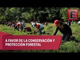 A cuidar el planeta con la campaña de reforestación 2016
