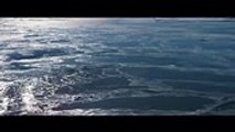 Marsz pingwinów 2: Przygoda na krańcu świata (2017) O­NLINE [C­DA]! C­ały F­ilm (Z­alukaj) obejrzyj PL
