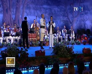 Dinu Iancu Sălăjanu; Dumitru Dobrican-Păntr-un dor, mânca-l-ar focu'