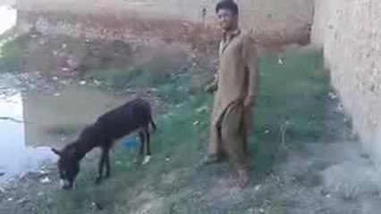 Whats up fanny. Video